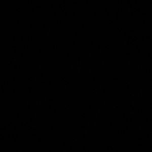 Meet your Posher, Hanna